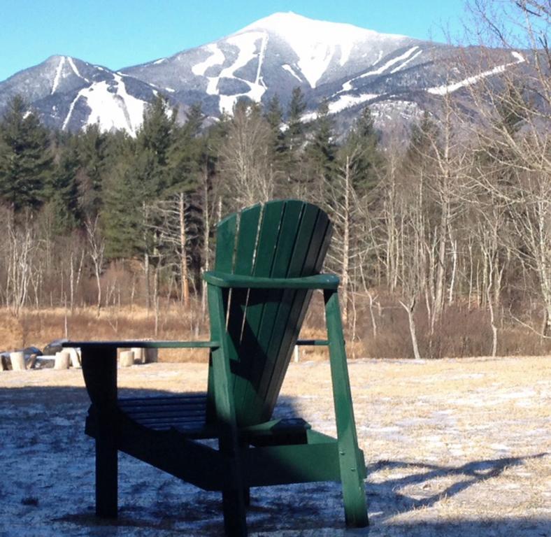 Вилла Esther Mountain Chalet Уилмингтон Экстерьер фото